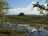 Day 4 - Cloud reflections and water lilies